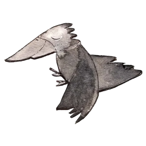 Praxis Dr. med. dent. Rabe